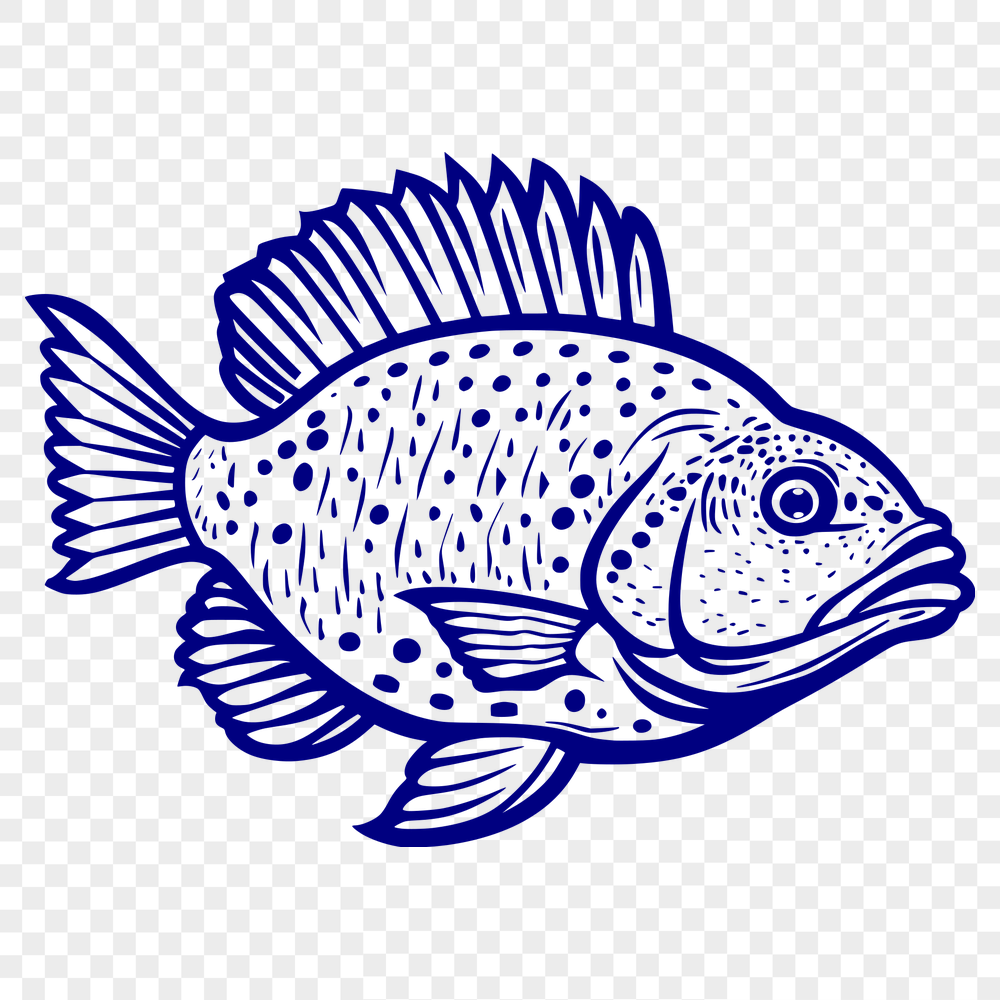 Free Creative Fish Digital Drawing