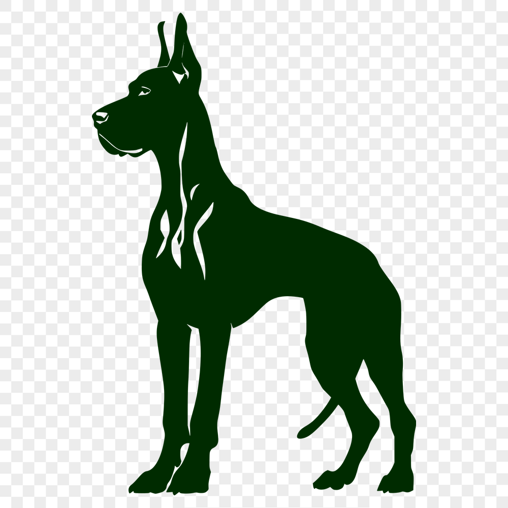 Stunning Standing Great Dane SVG