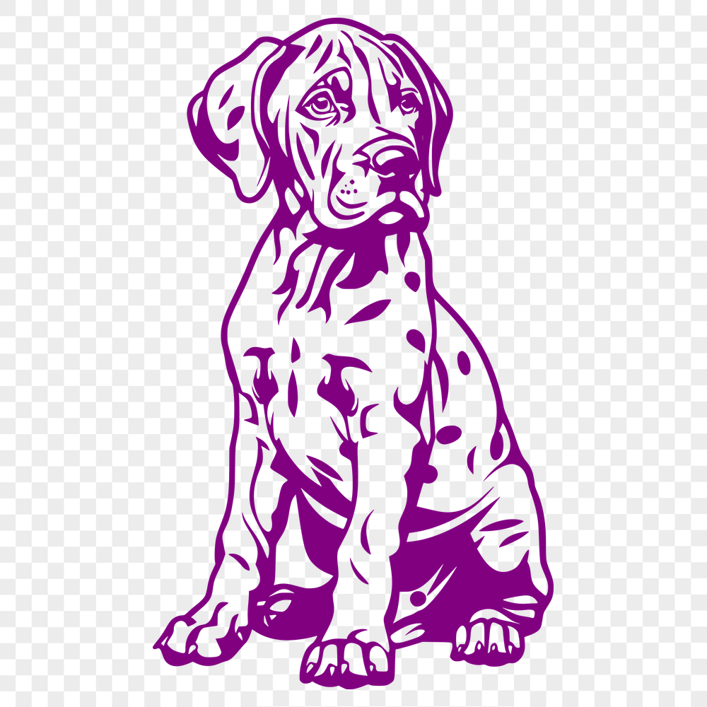 Creative Sitting Great Dane Drawing