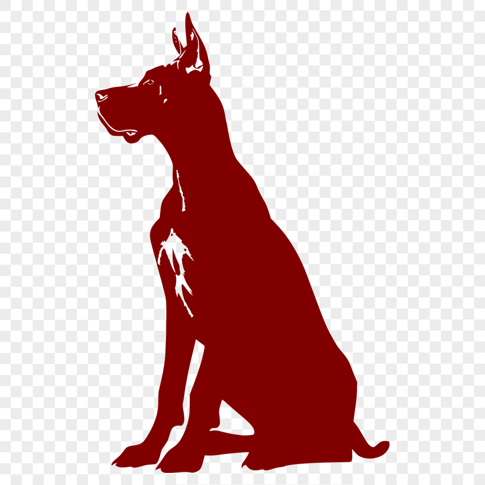 Free Sitting Great Dane PNG