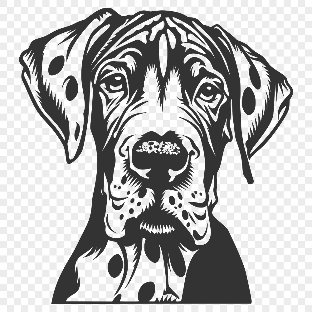 Unique Great Dane Digital Art