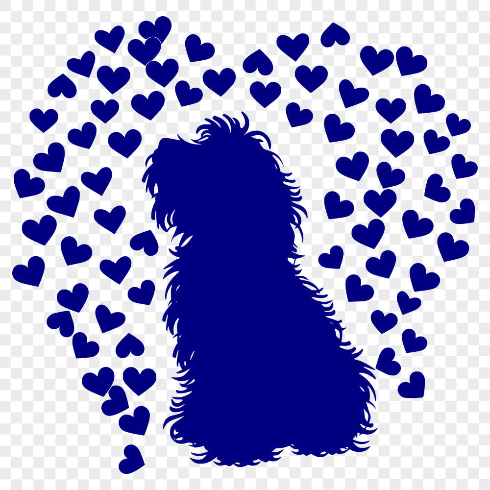 Free Havanese Vector Image