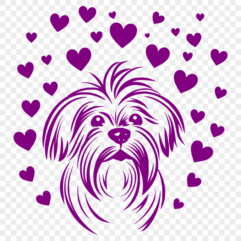 Stunning Havanese PDF