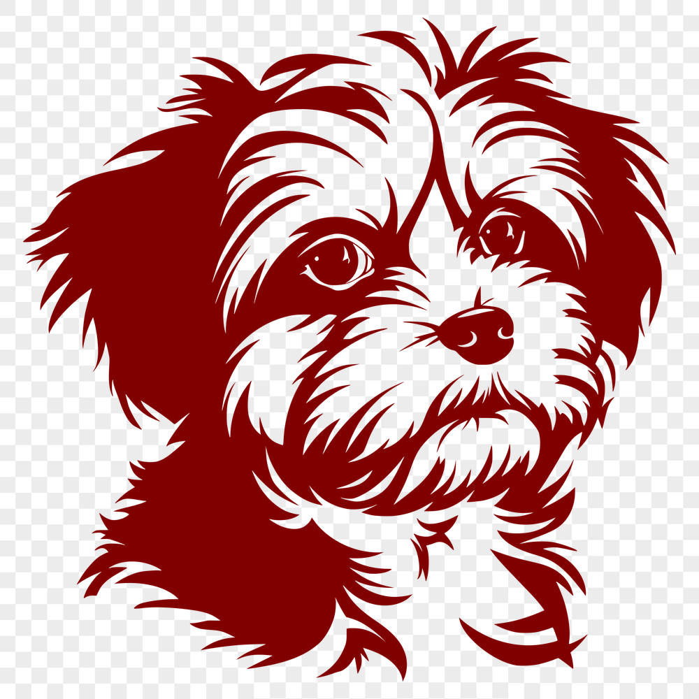 Havanese In SVG, PNG, PDF And DXF Formats