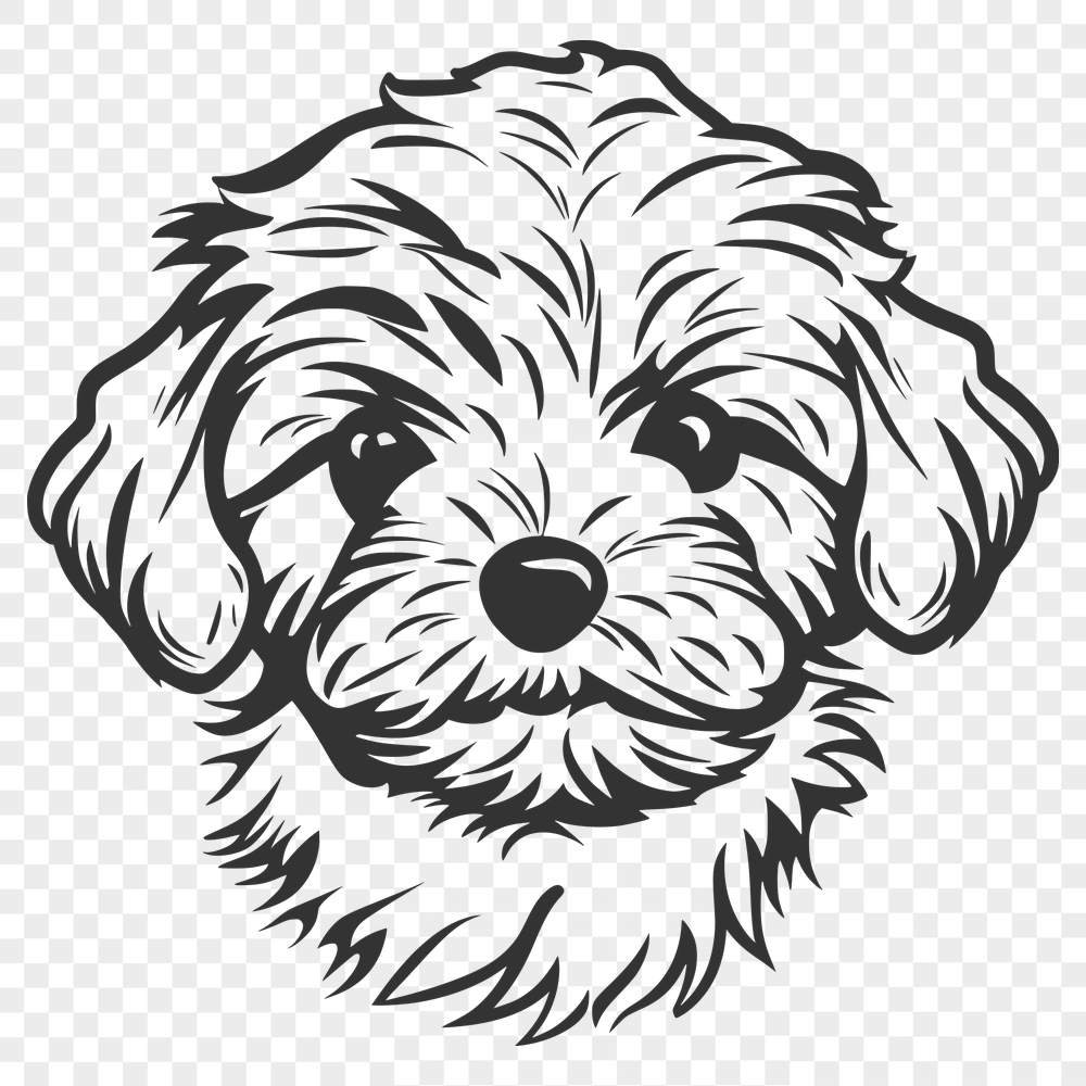 Unique Havanese - For Cricut Project