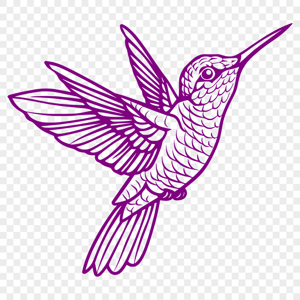 Free Unique Hummingbird Digital Art