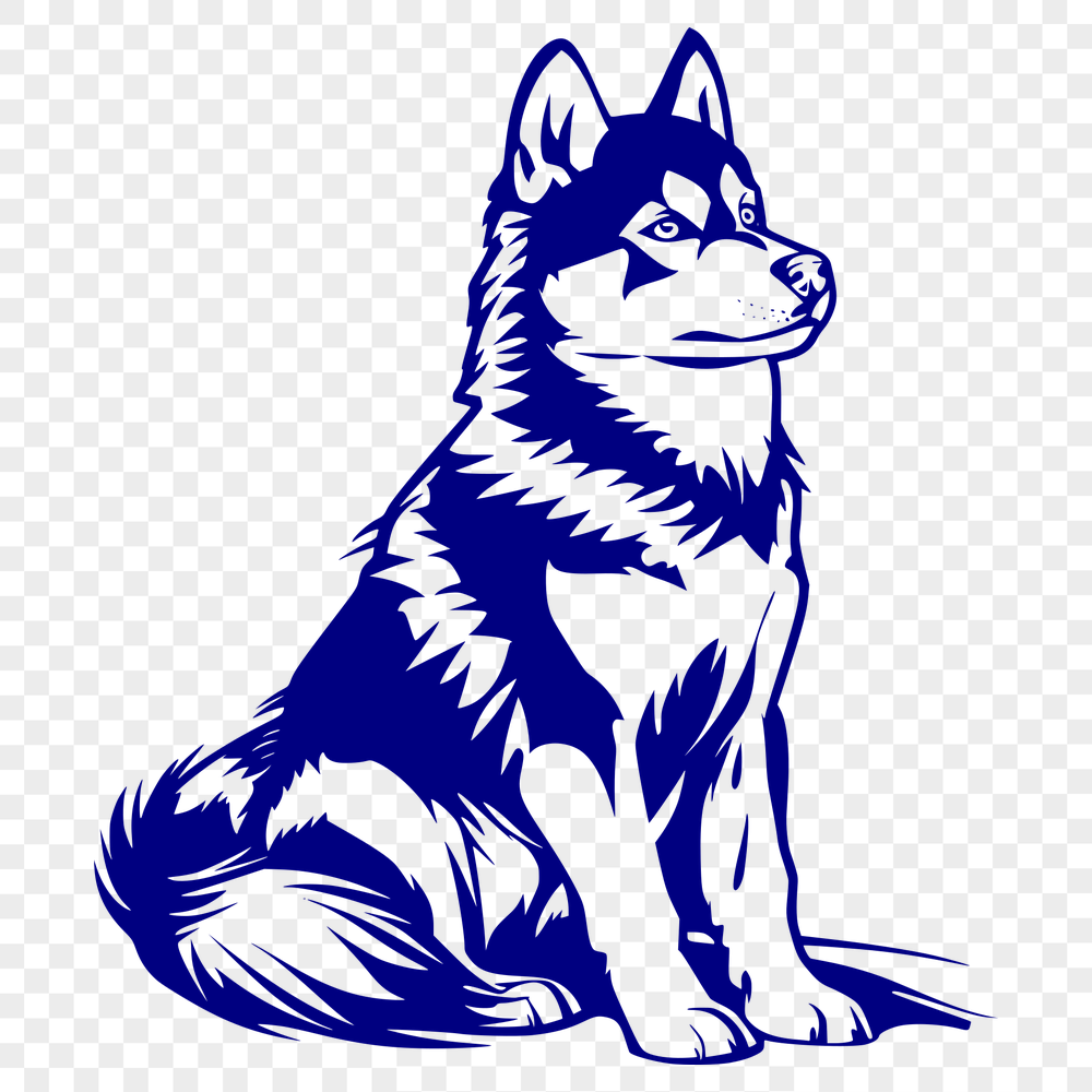 Stunning Sitting Husky Digital Drawing