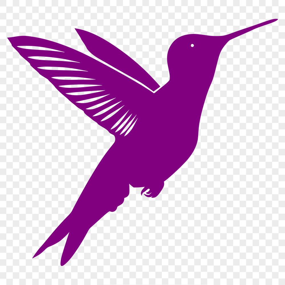 Beautiful Hummingbird PDF