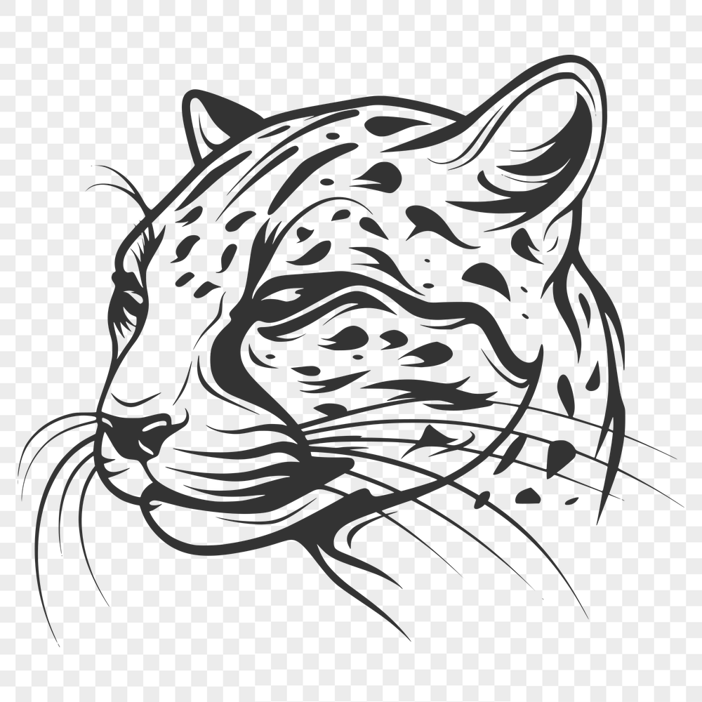 Creative Big Cat In SVG