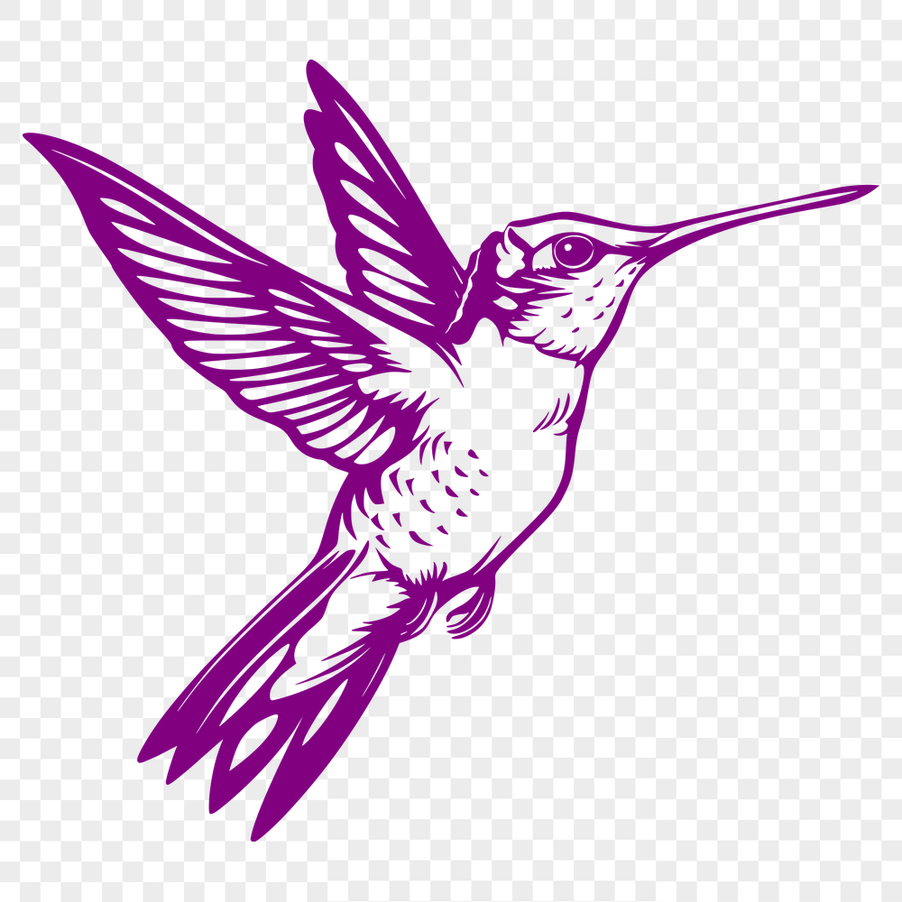 Creative Hummingbird - Cricut PDF