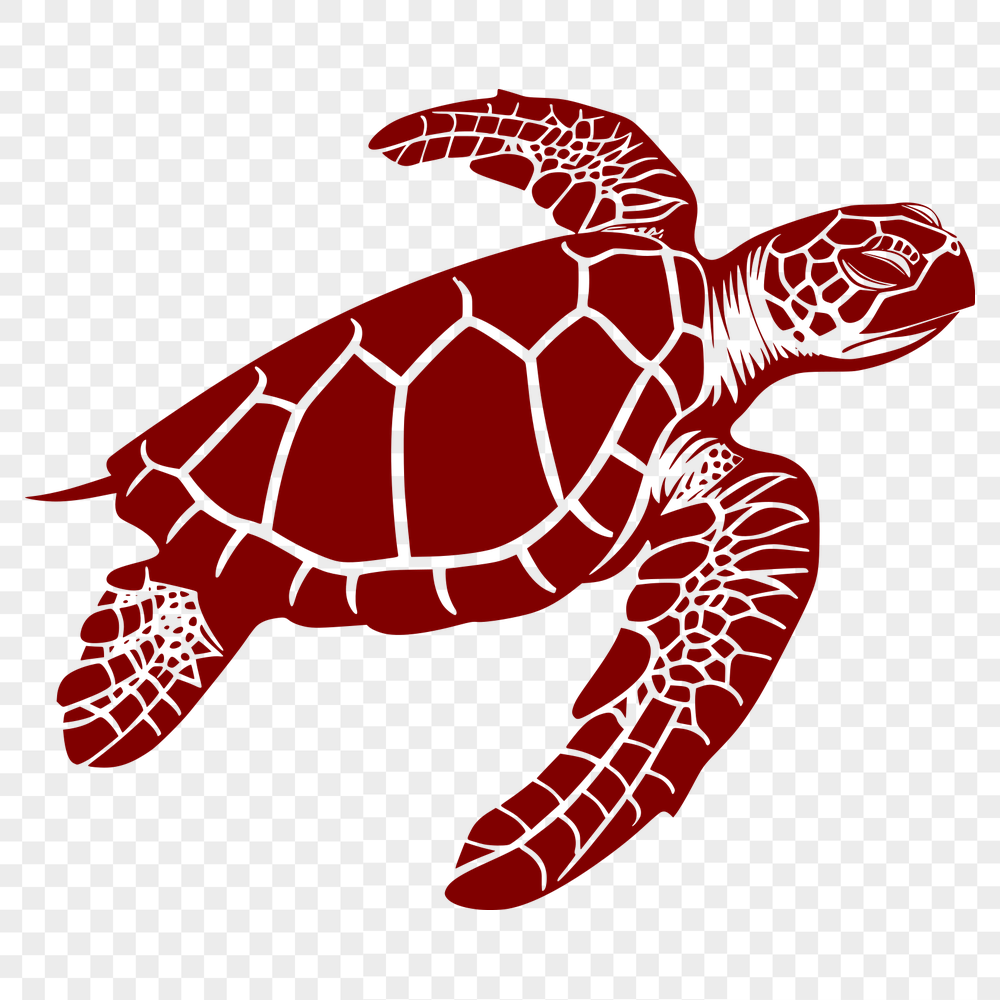 Stunning Sea Turtle Printable Image