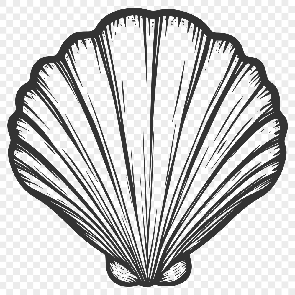 Seashell Vector Art In PDF File Format For Free Download