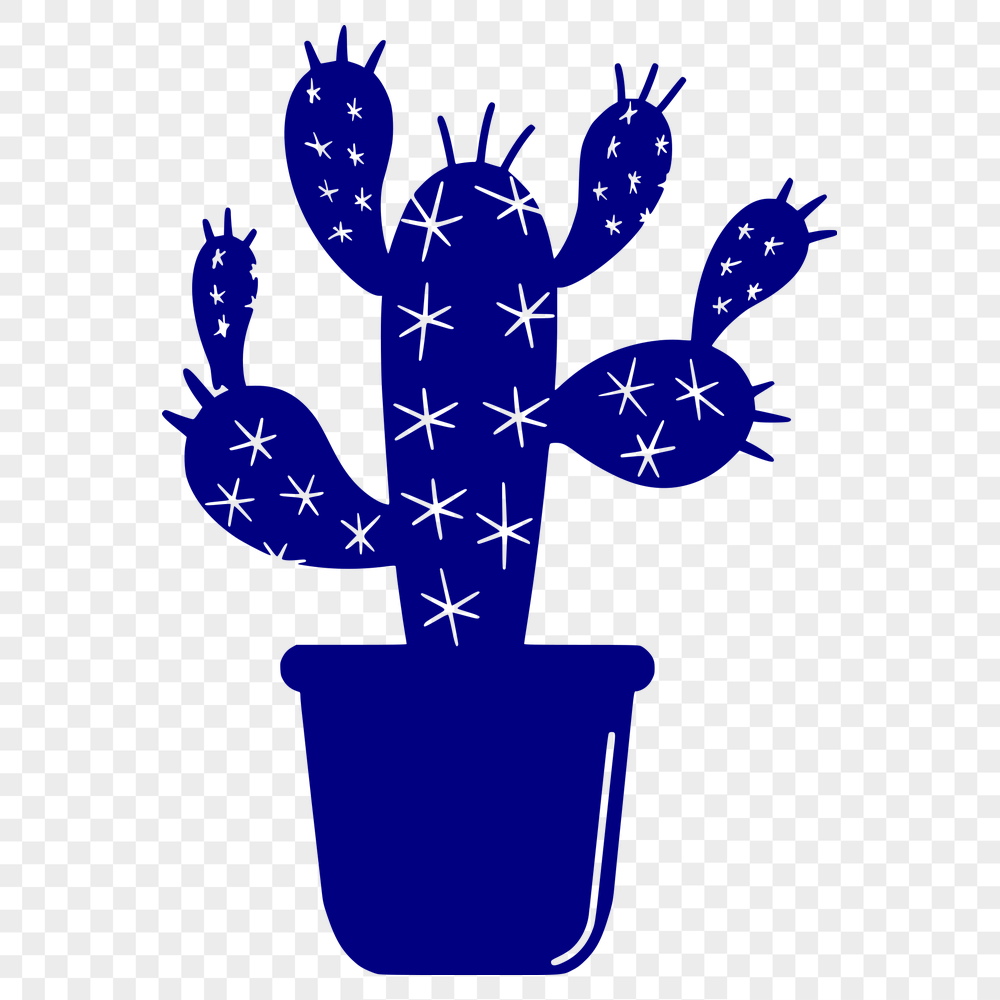 Stunning Cactus PDF