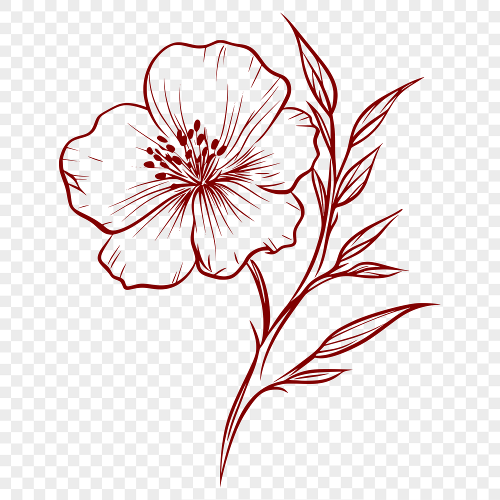 Flower Illustration In PNG & SVG - Free Digital Download