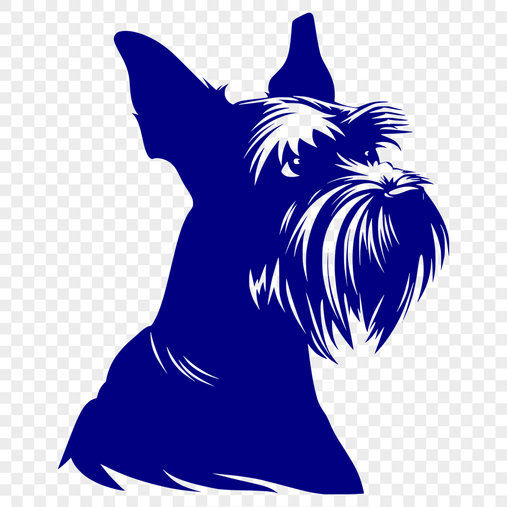 Beautiful Miniature Schnauzer SVG, PNG, PDF And DXF Files