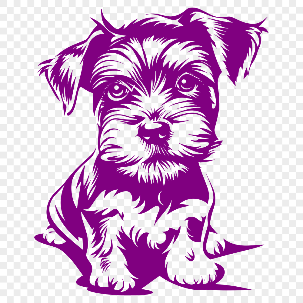 Beautiful Sitting Miniature Schnauzer Vector Art