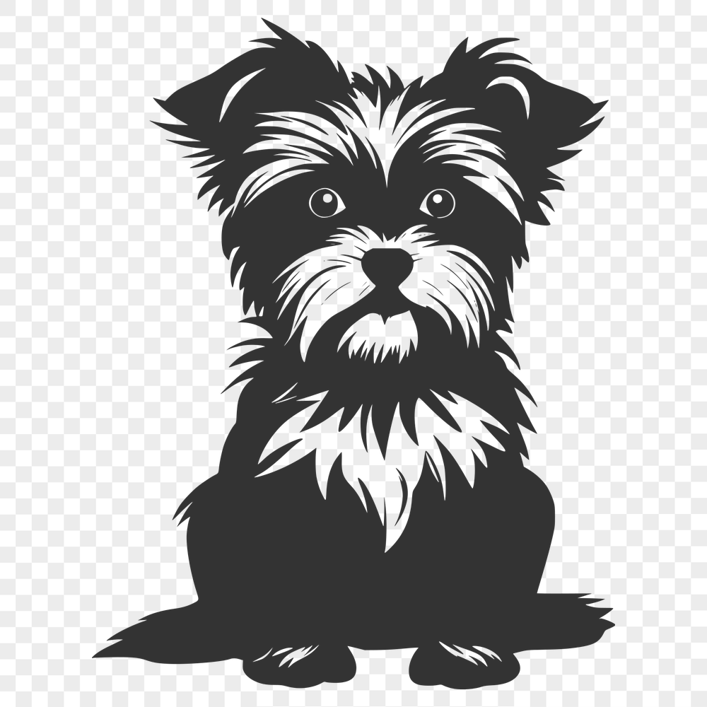 Stunning Sitting Morkie DXF