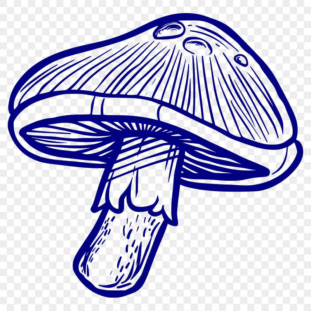 Unique Mushroom PNG