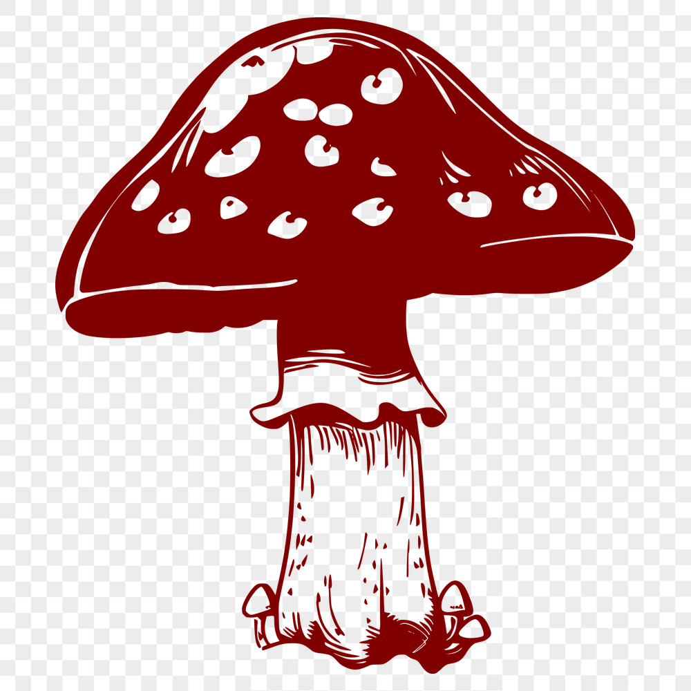 Creative Mushroom Design