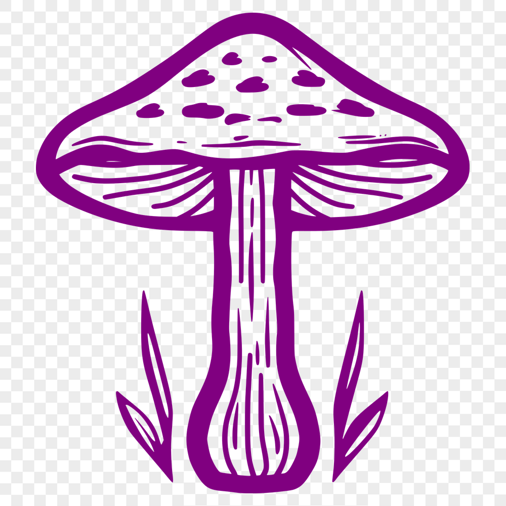 Artistic Mushroom - Glowforge PNG