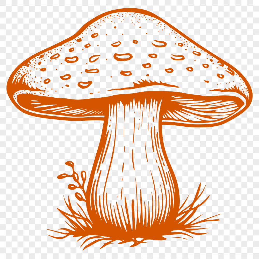 Creative Mushroom Decal