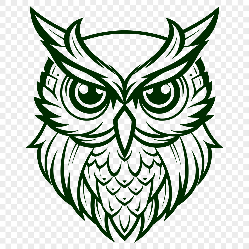 Artistic Owl Artwork