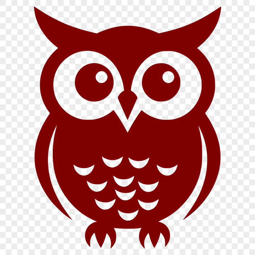 Unique Owl PNG