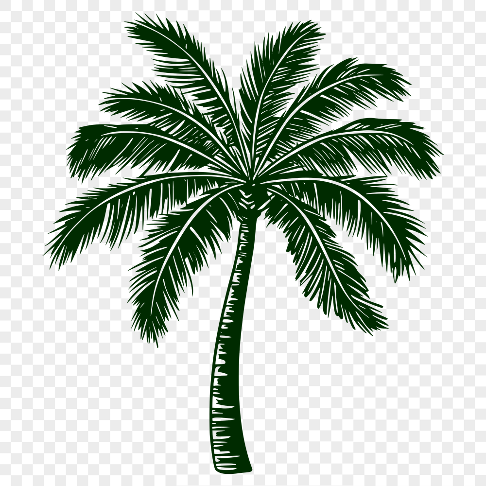 Palm Tree Stencil In SVG File Format For Free Download