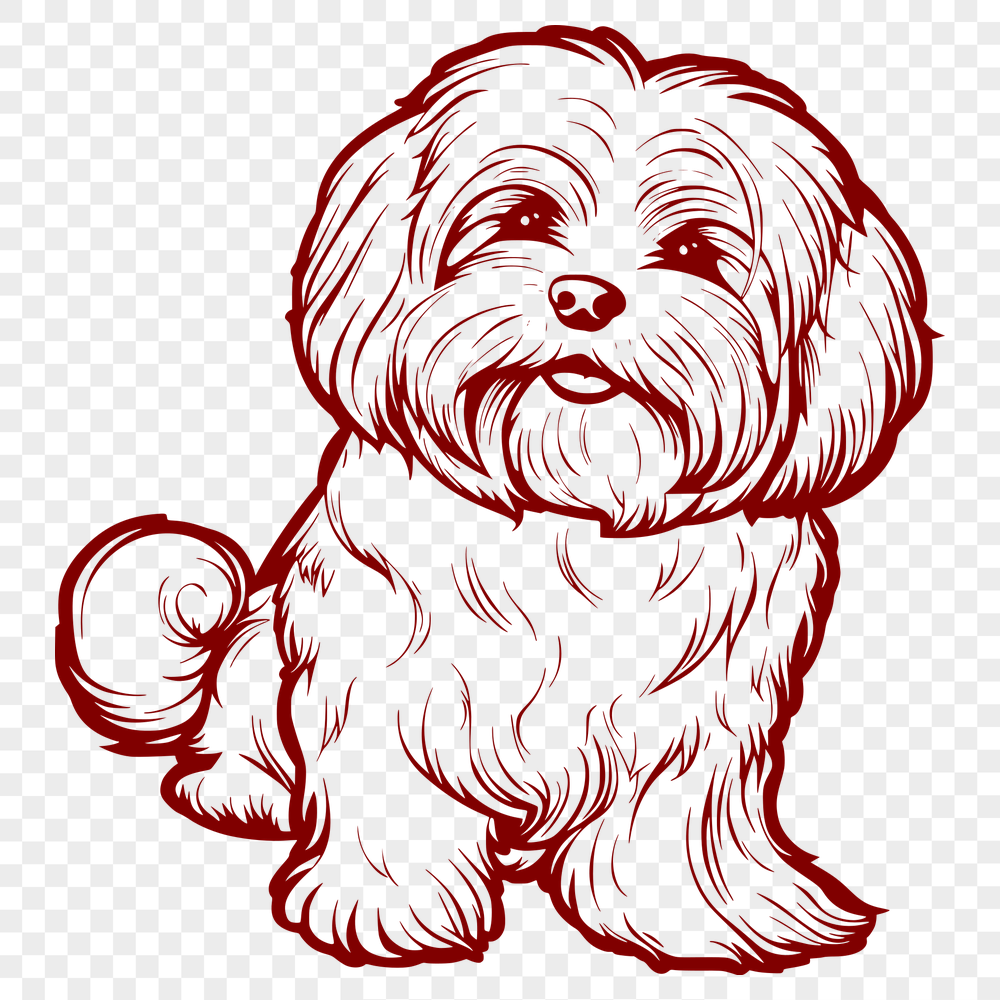 Free Sitting Havanese - SVG