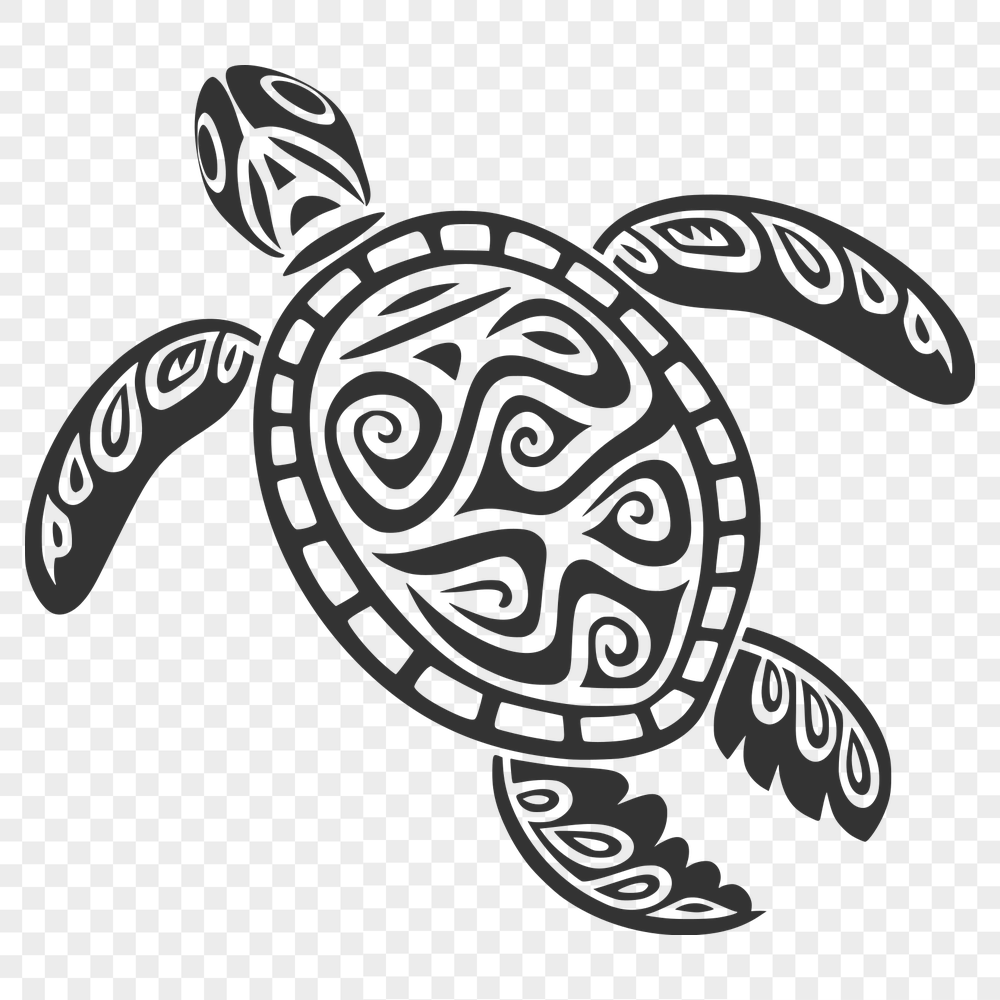 Creative Sea Turtle PNG