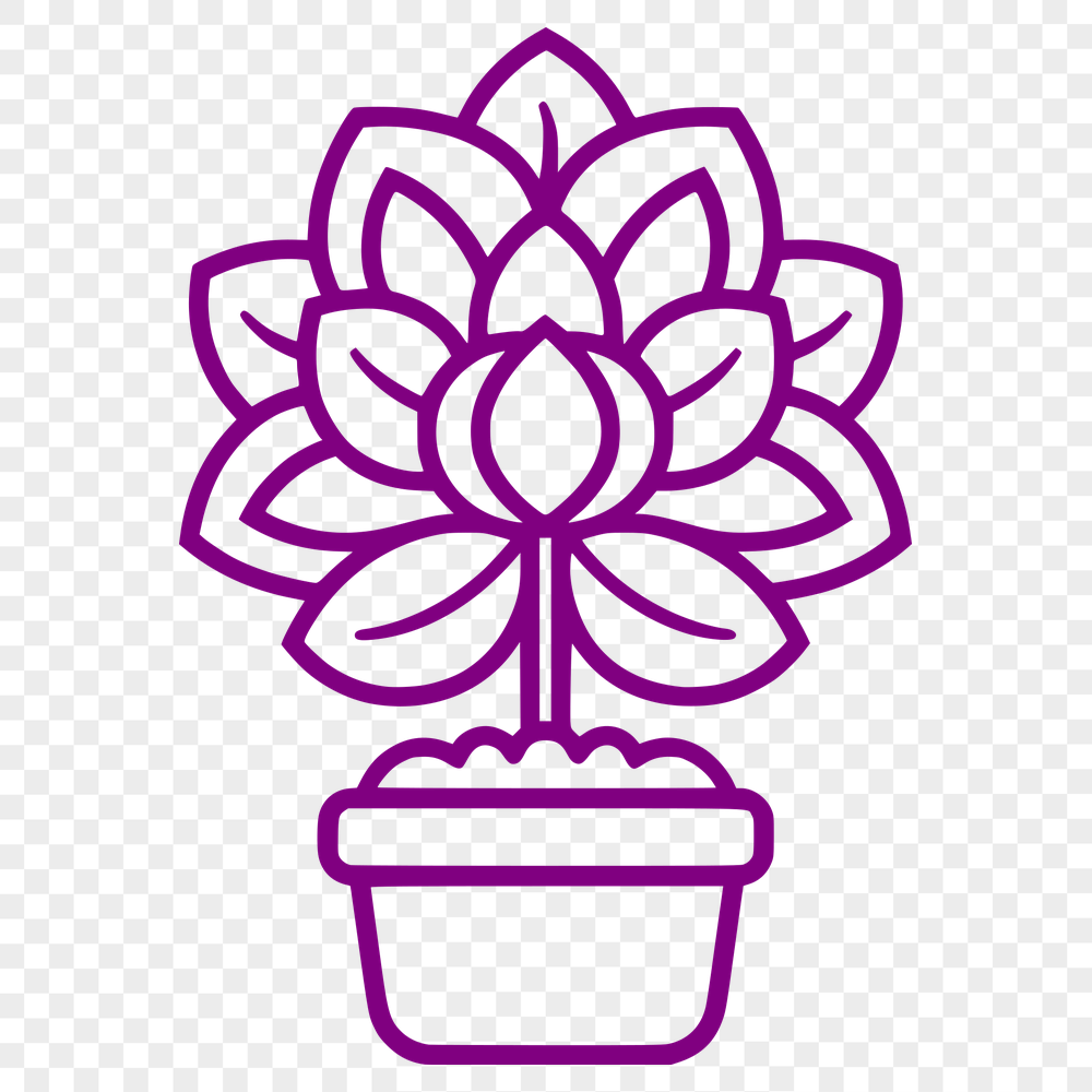 Floral Plant Illustration