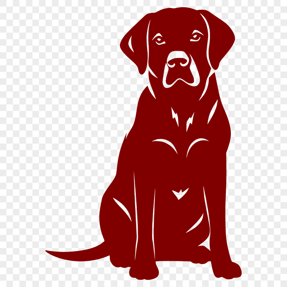 Artistic Sitting Labrador Retriever Vector Image