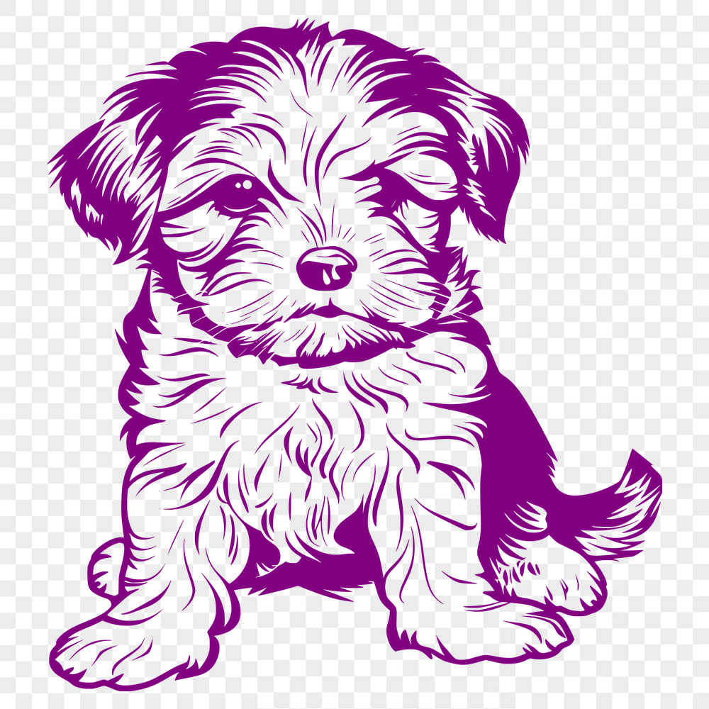 Sitting Havanese SVG