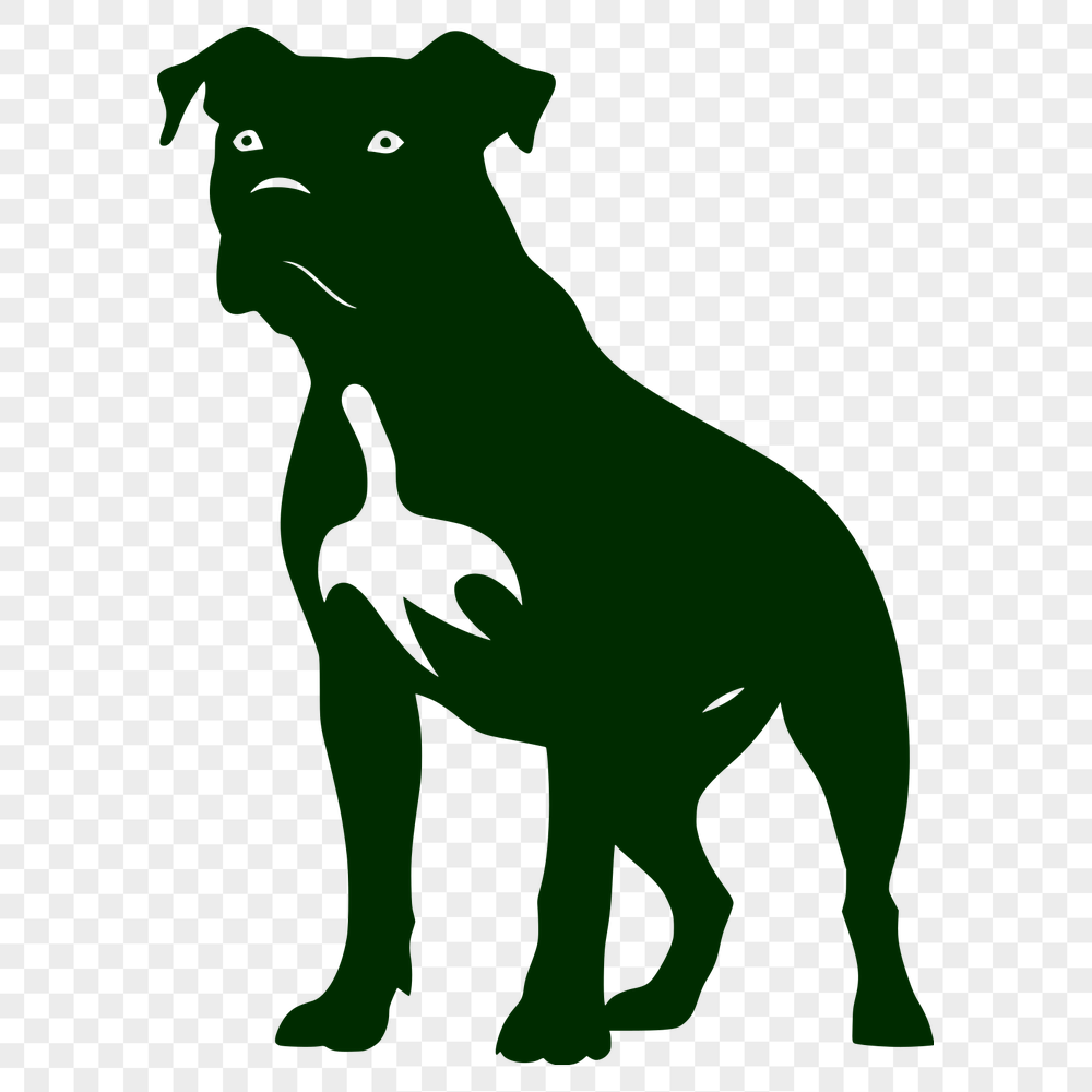 Standing Pitbull PNG