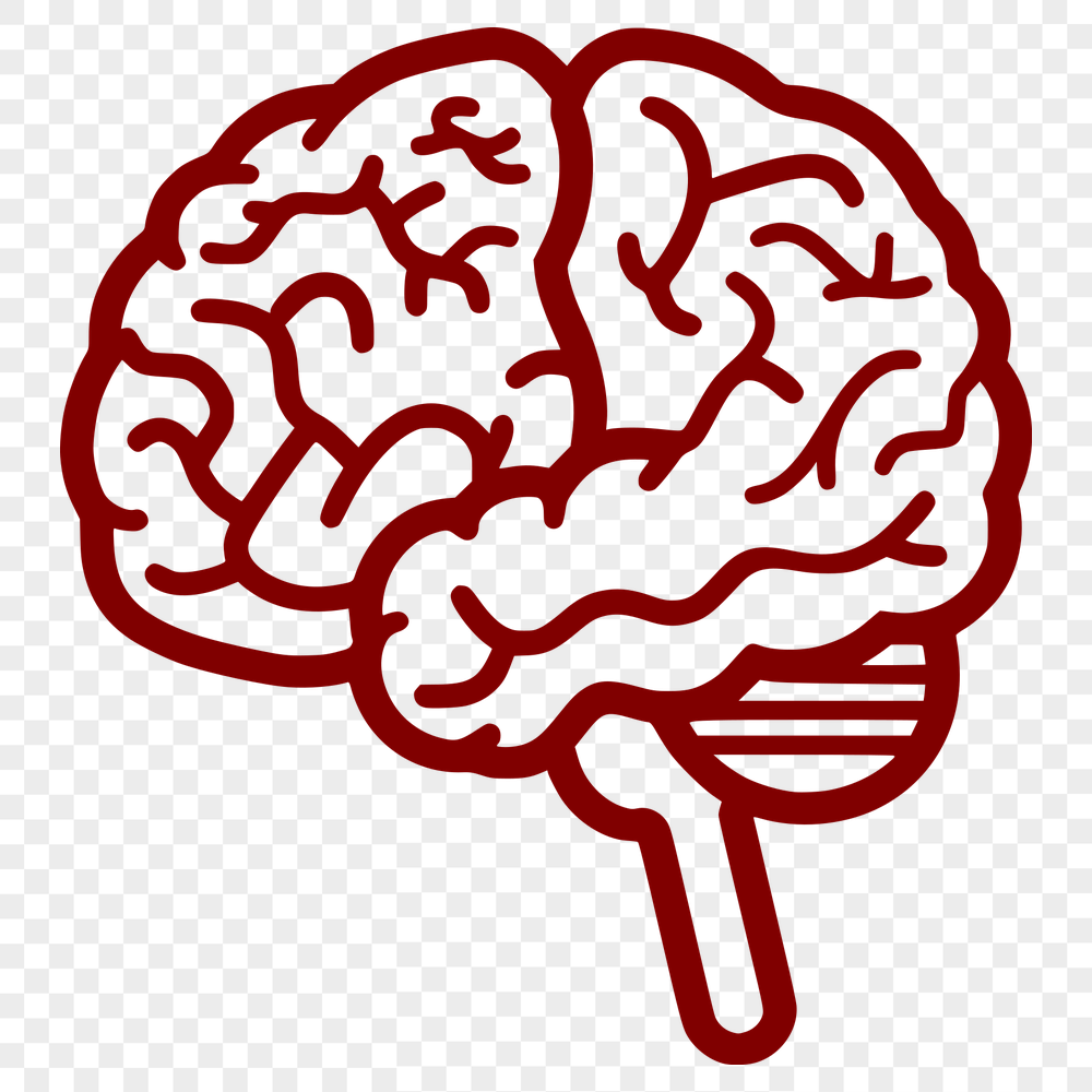 Free Free Brain Vector Drawing