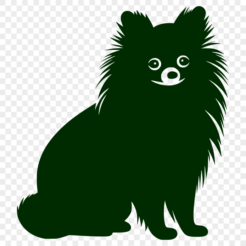 Creative Sitting Pomeranian Artwork