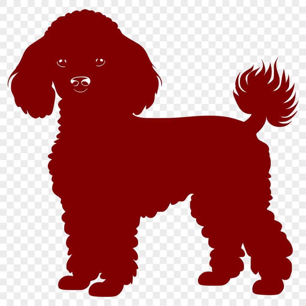 Free Standing Poodle Clip Art