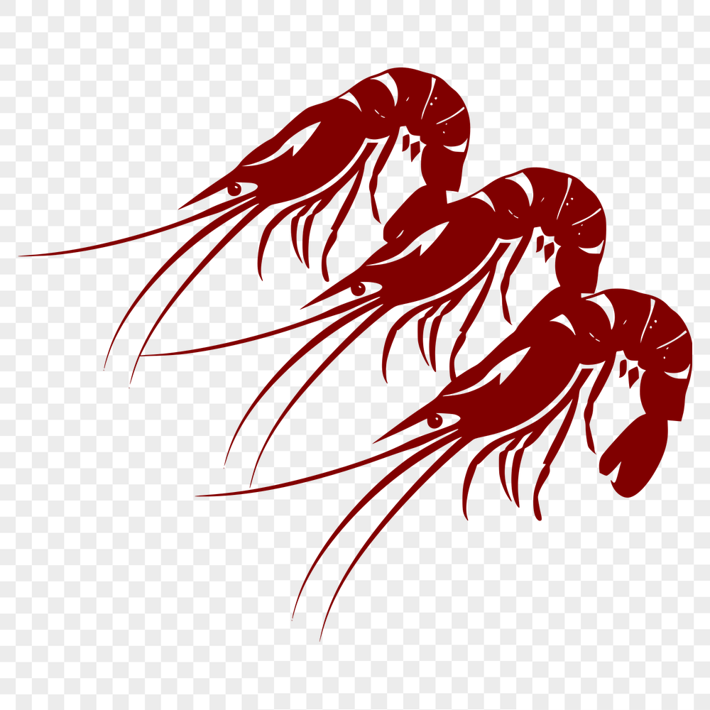 Beautiful Shrimp DXF