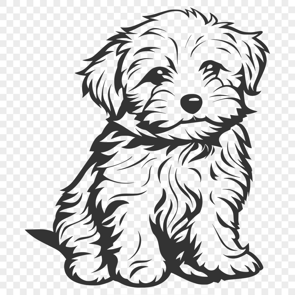 Cute Havanese Illustration