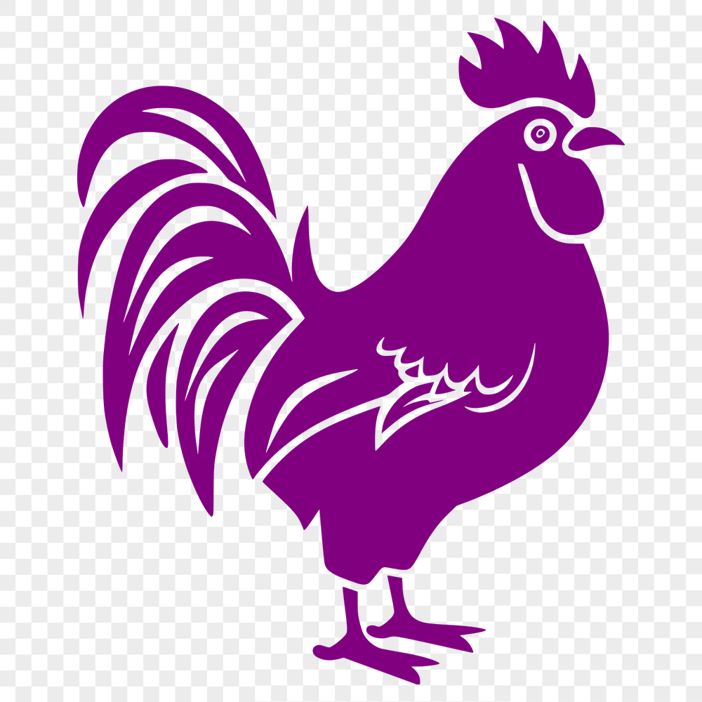 Stunning Rooster Vector Illustration