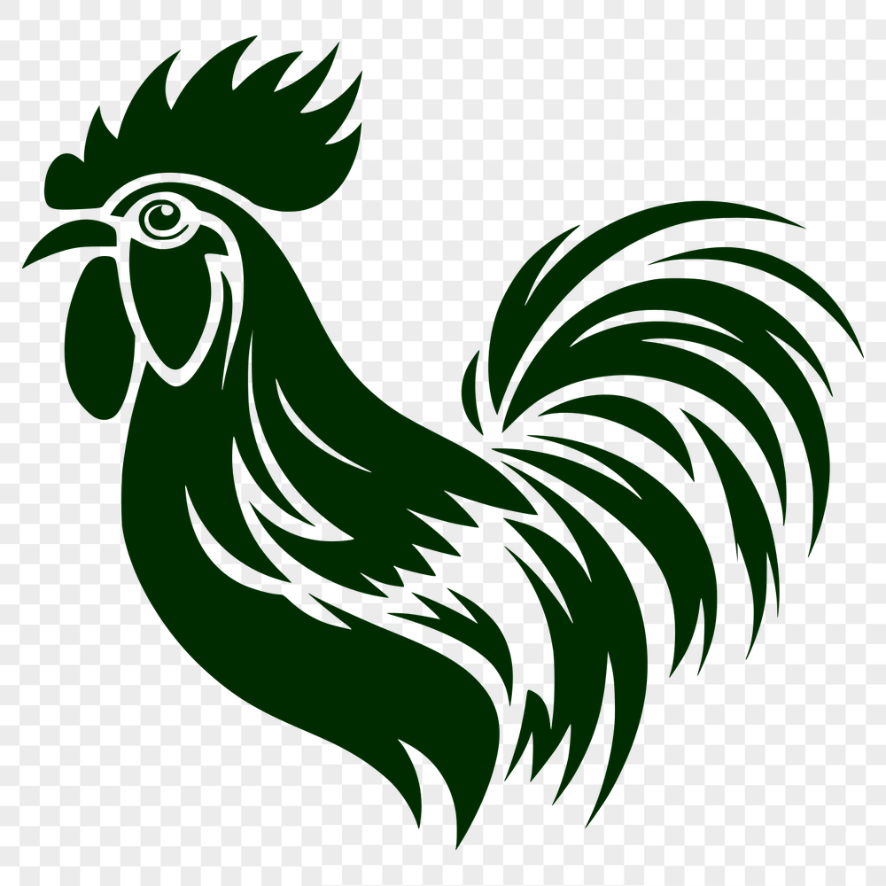 Free Chicken PNG