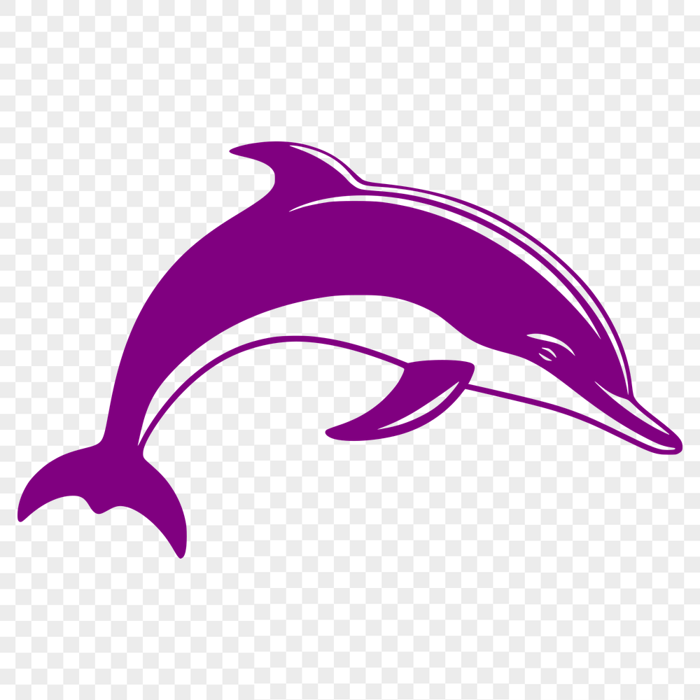 Creative Dolphin - Laser PNG