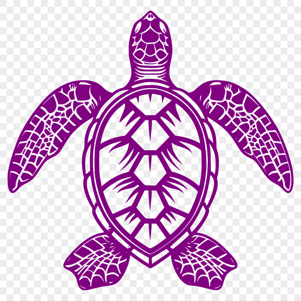 Unique Sea Turtle Image