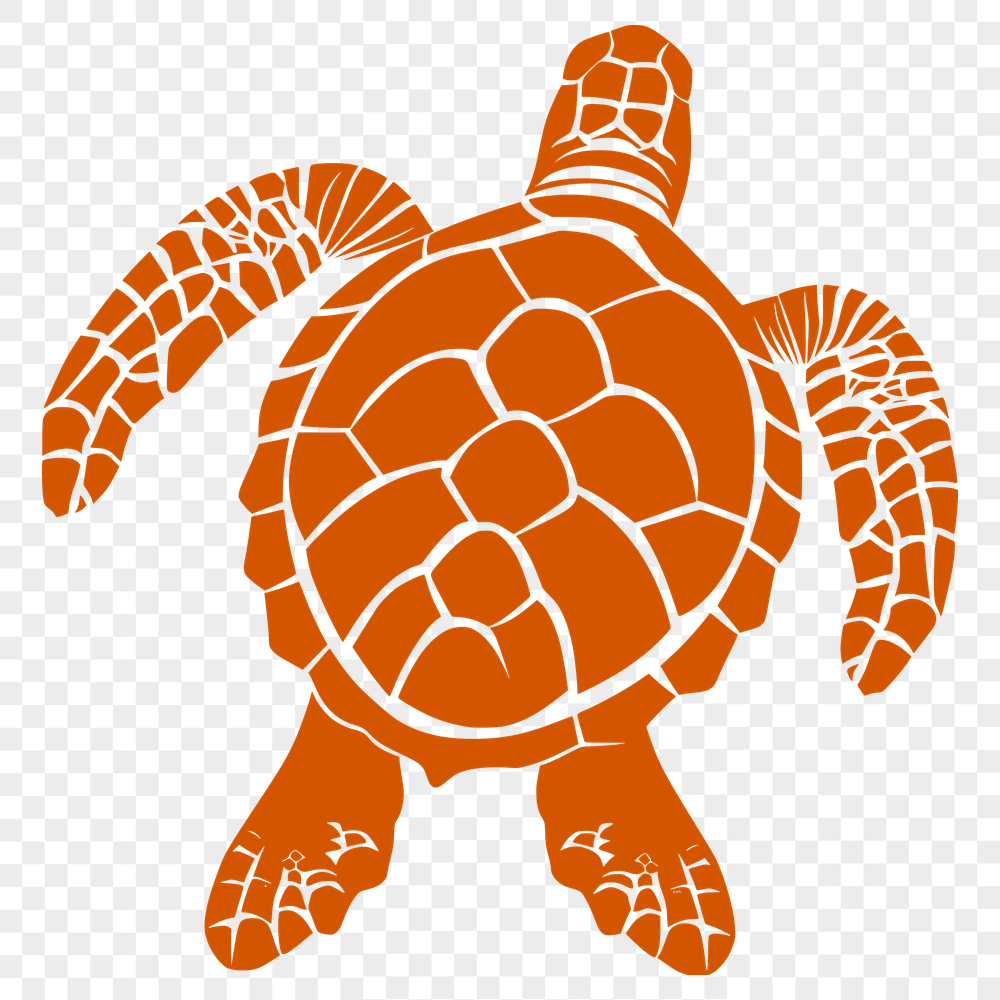 Free Sea Turtle - For Sea Creature Project