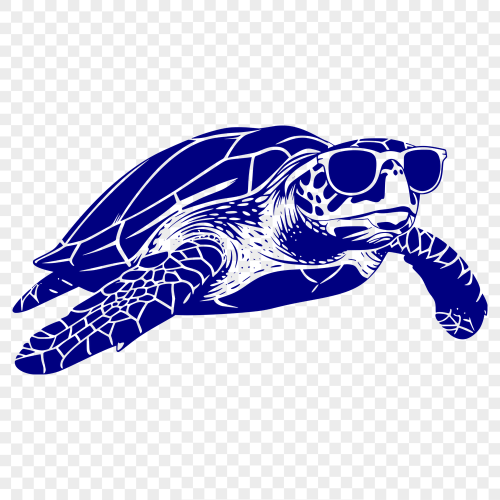 Free Sea Turtle Wearing Sunglasses