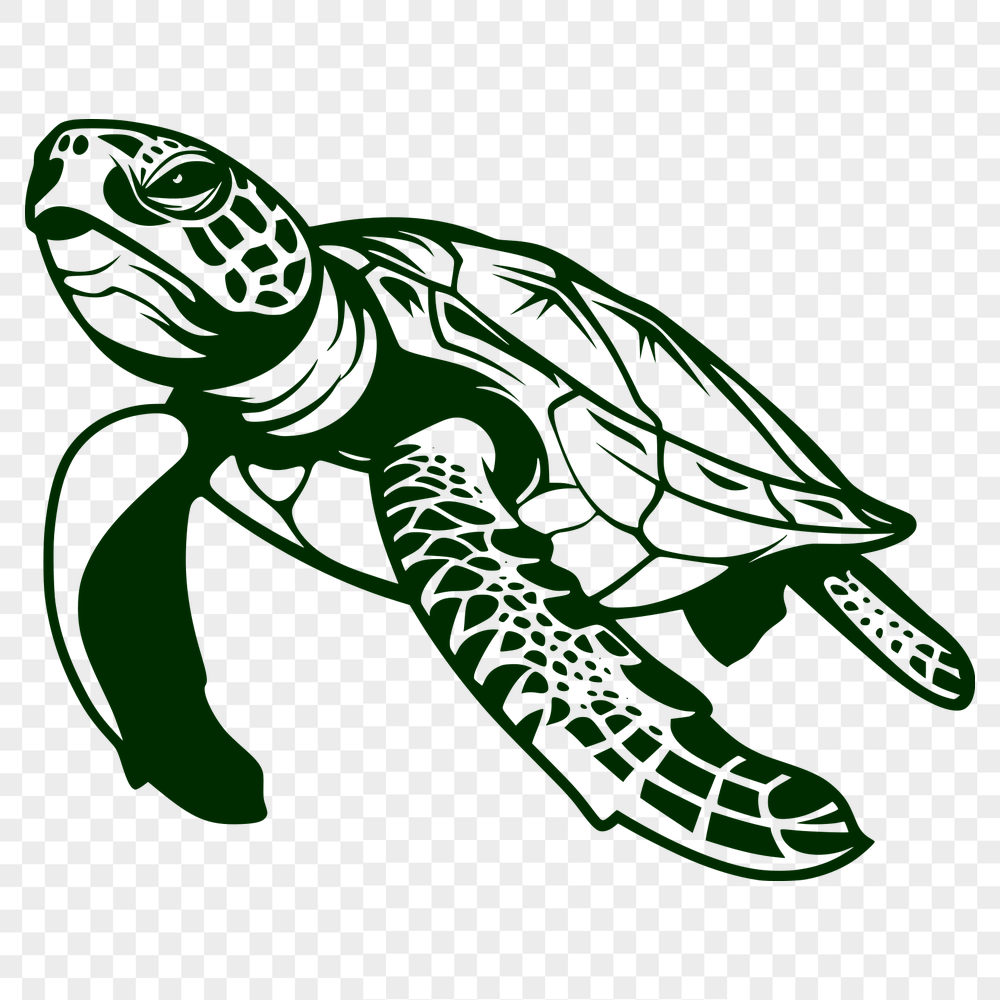 Free Free Sea Turtle Illustration