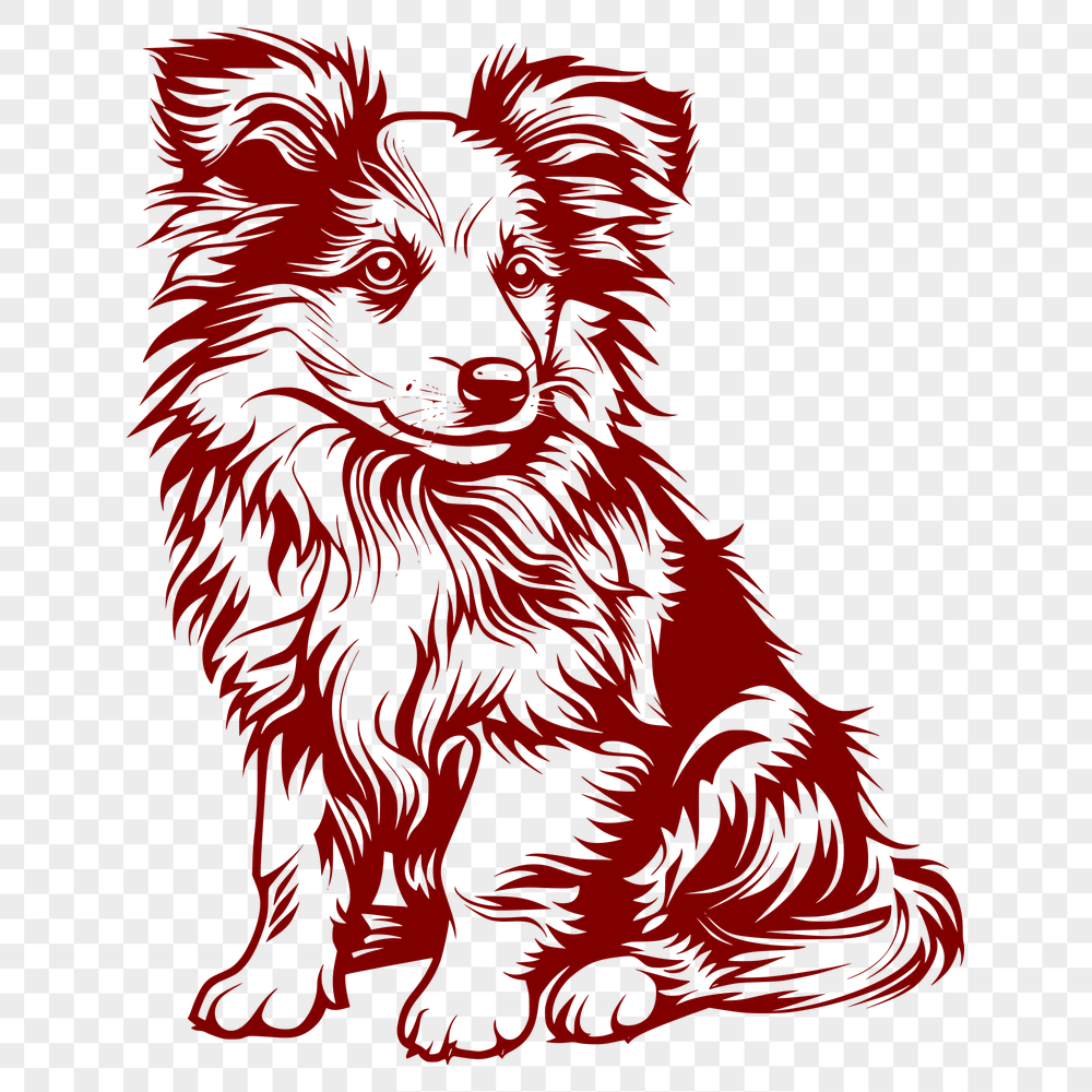 Free Beautiful Shetland Sheepdog Vector Image