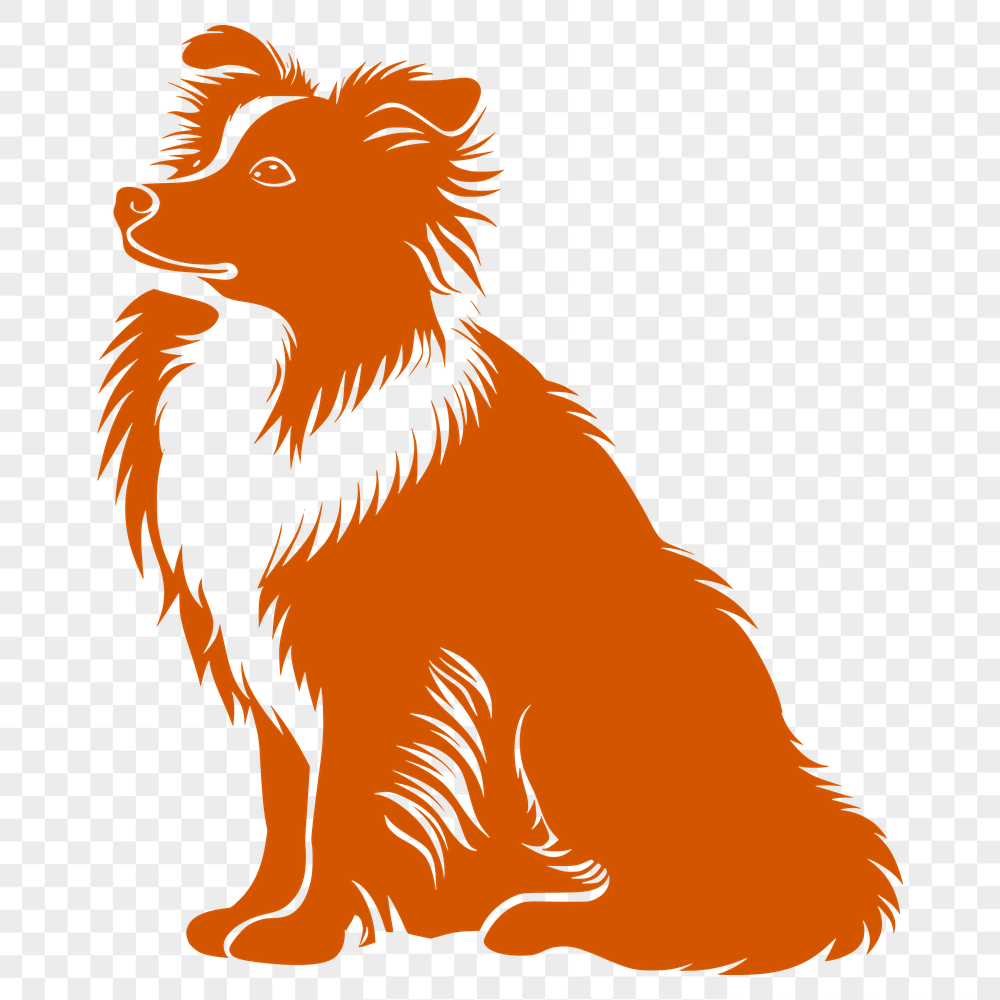 Stunning Sitting Shetland Sheepdog Drawing