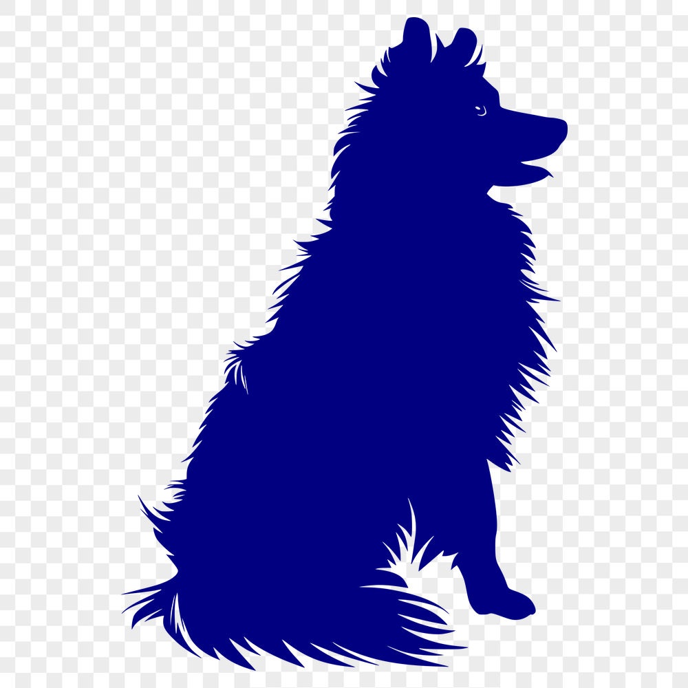 Beautiful Shetland Sheepdog PNG