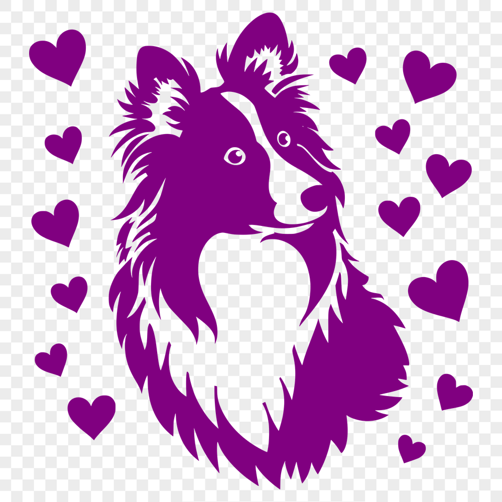 Free Beautiful Shetland Sheepdog Digital Artwork